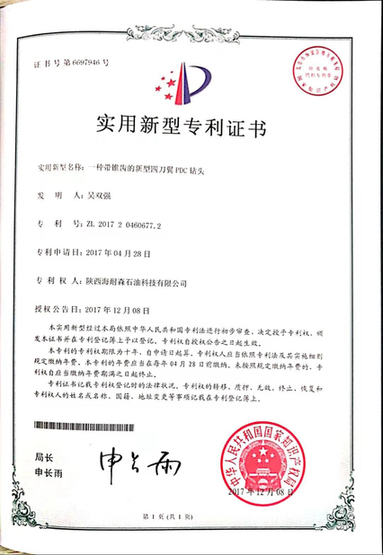 Chine Shaanxi Hainaisen Petroleum Technology Co.,Ltd Certifications